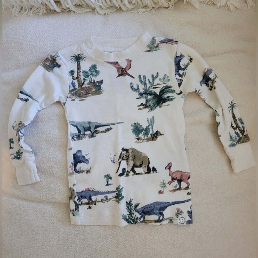 Carters Little Planet Organic Cotton Prehistoric 2 Piece Pj Set 12 Month
